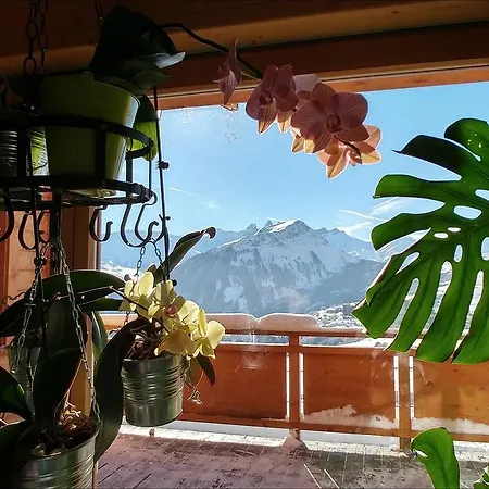 Chalet Du Levant Chambres D'hotes Domaine Les Sybelles *